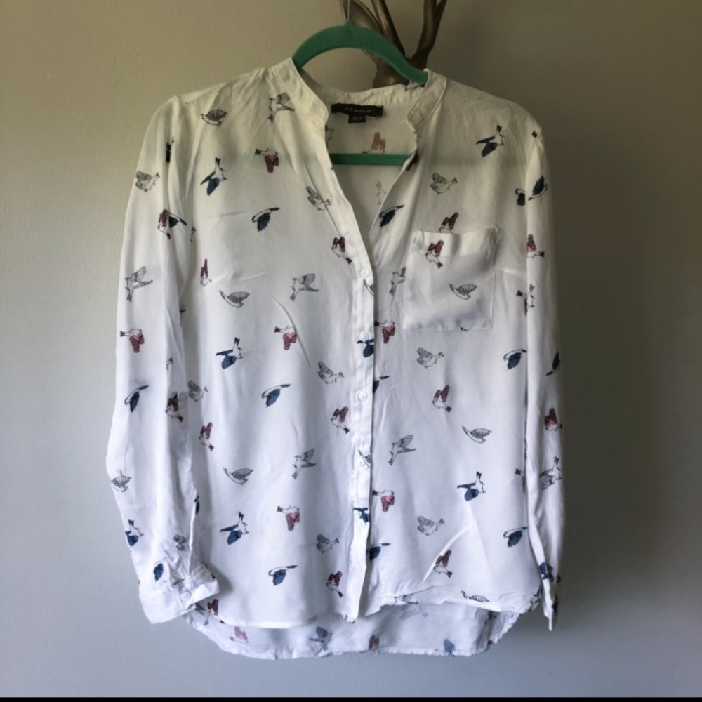 Spring Sparrow Button Down Blouse